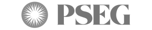 PSE&G