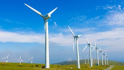 Wind farm renewable energy